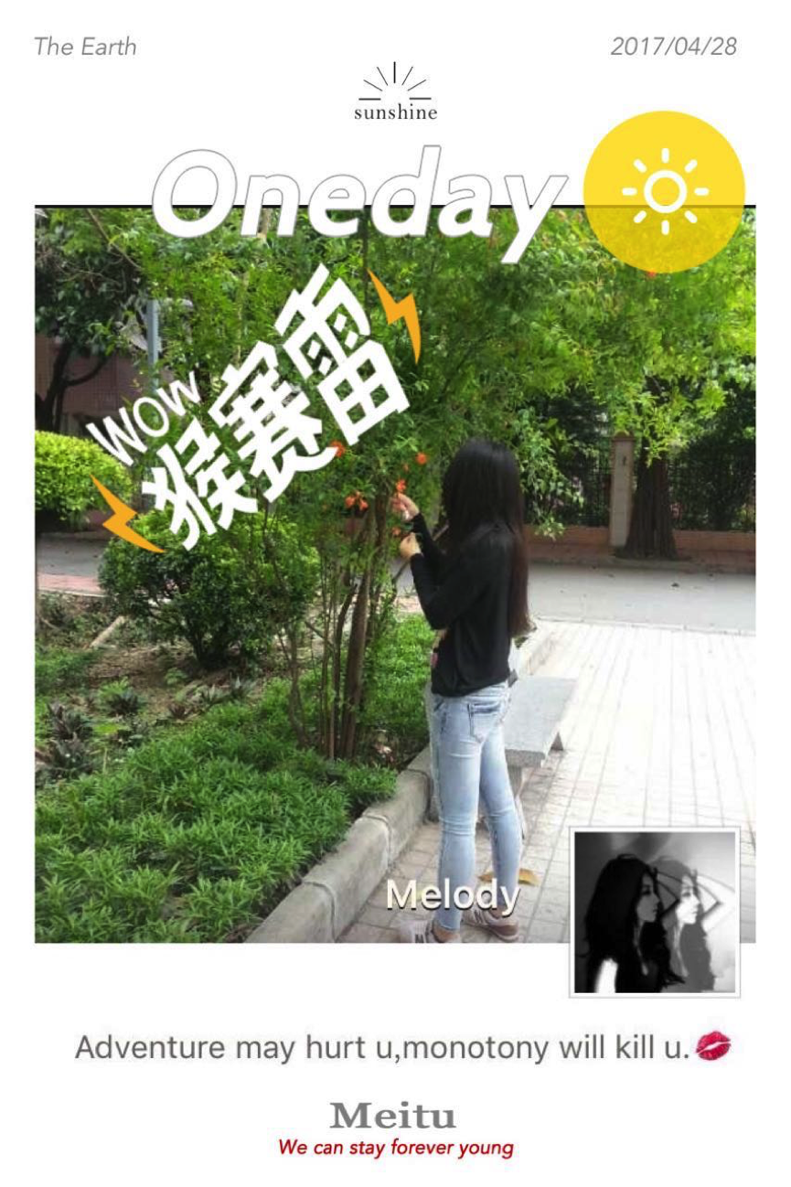马来西亚物流专线4月之星